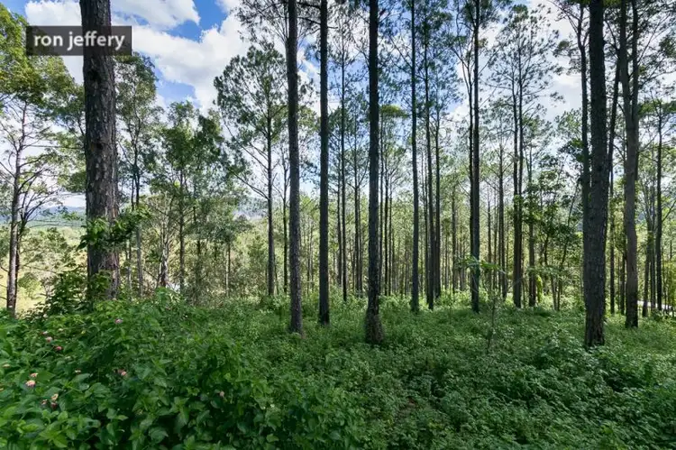 Fourth view of Homely land listing, 65 Callemonda Road, Brooloo QLD 4570