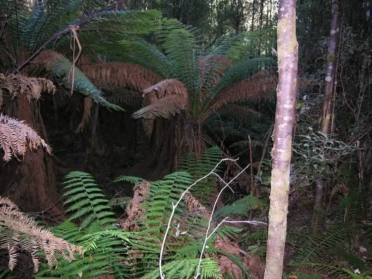 Fifth view of Homely land listing, Lot 1 off Cradoc Hill Road, Cygnet TAS 7112
