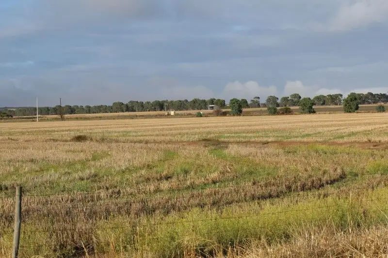 Main view of Homely rural property listing, 14 Gap Road Warrow, Coulta SA 5607