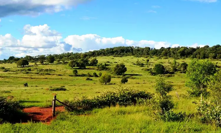 Third view of Homely rural property listing, 13354 D'aguilar Highway, Nanango QLD 4615
