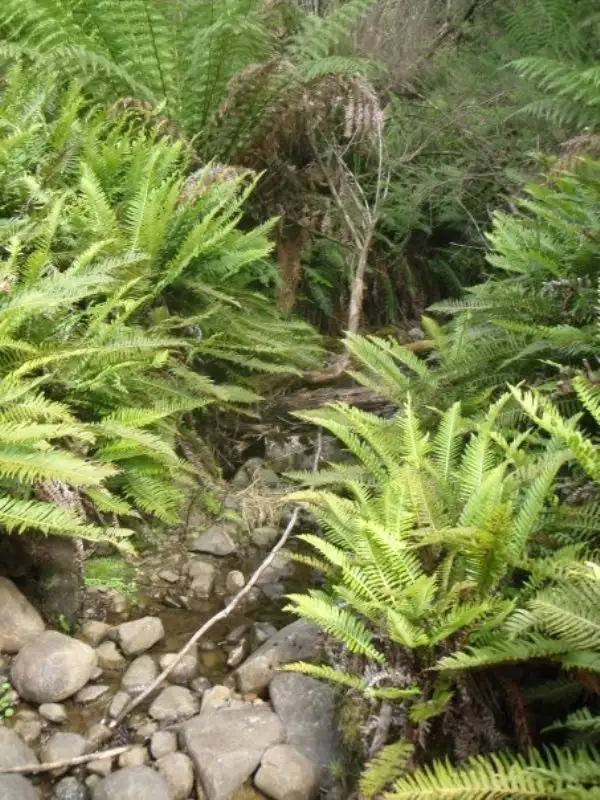 Second view of Homely land listing, Lot 5 Wylies Road, Cradoc TAS 7109