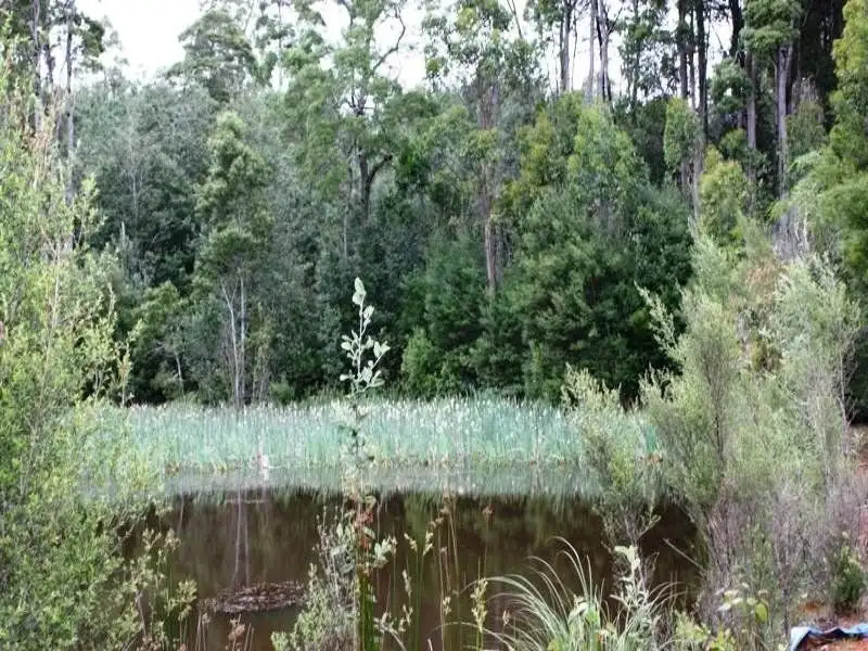 Main view of Homely house listing, 61 Tipunah Road, Mengha TAS 7330