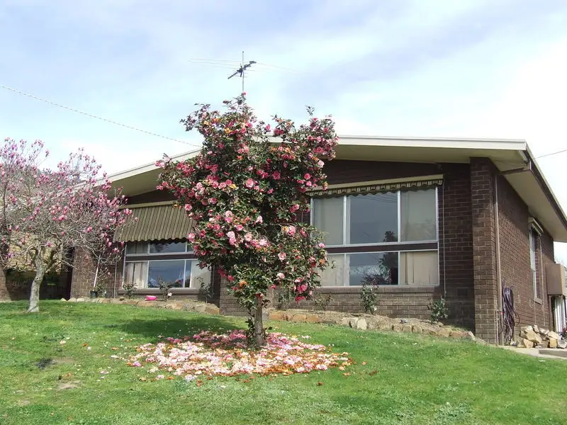 Main view of Homely house listing, 26 Robert Street, Myrtleford VIC 3737