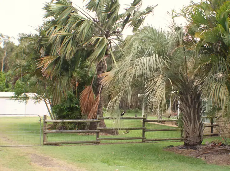Fourth view of Homely rural property listing, 35 Fairhaven Drive, Godwin Beach QLD 4511