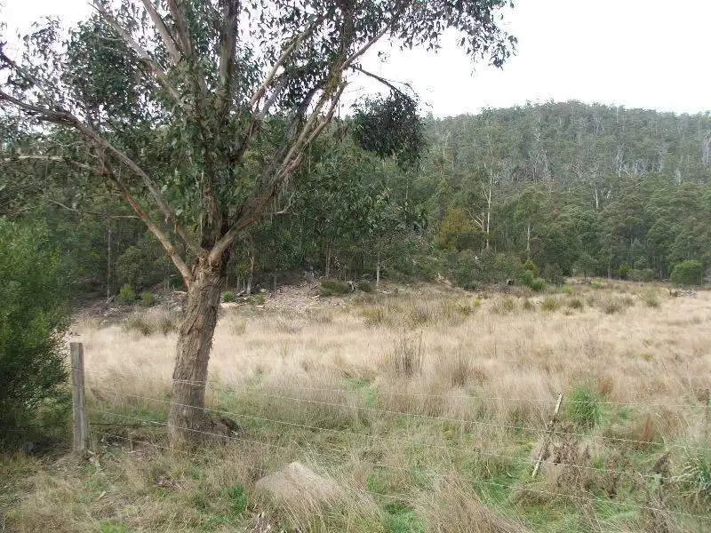 Main view of Homely land listing, Lonnavale Road, Lonnavale TAS 7109