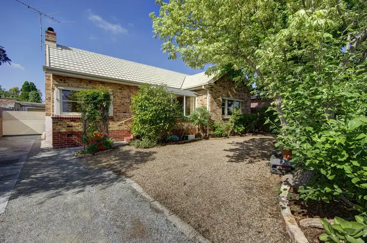 25 Lascelles Avenue, Manifold Heights VIC 3218