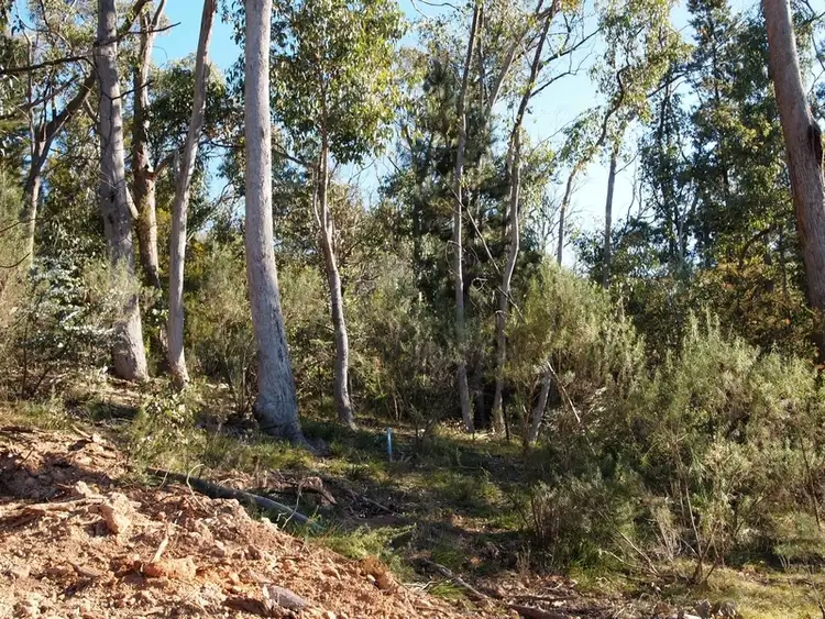 Fifth view of Homely land listing, Lot 1 PS524465G Walkers Lane, Bright VIC 3741