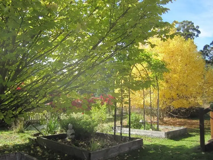 Second view of Homely house listing, 104 Chittys Road, Franklin TAS 7113