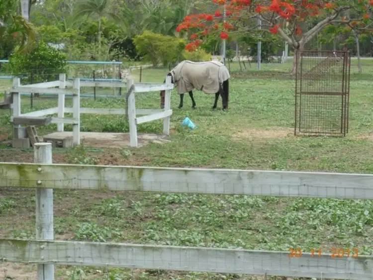 Fifth view of Homely house listing, 212 Forestry Road, Bluewater QLD 4818