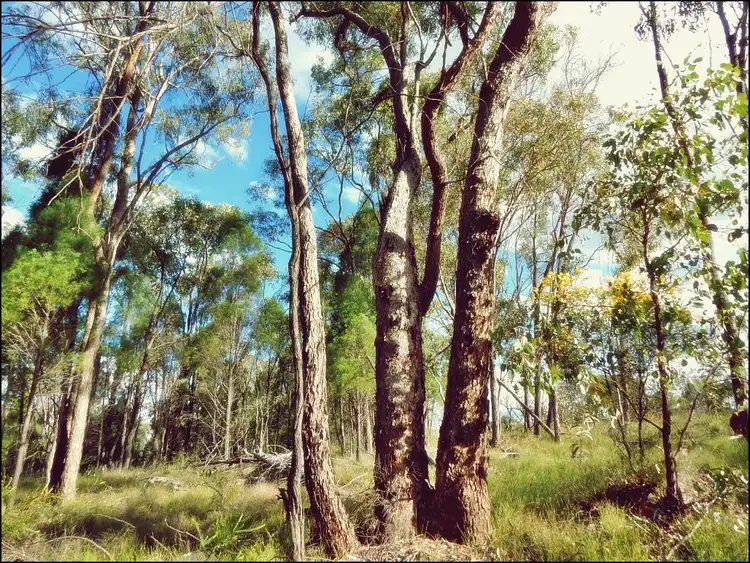 Second view of Homely rural property listing, Address available on request