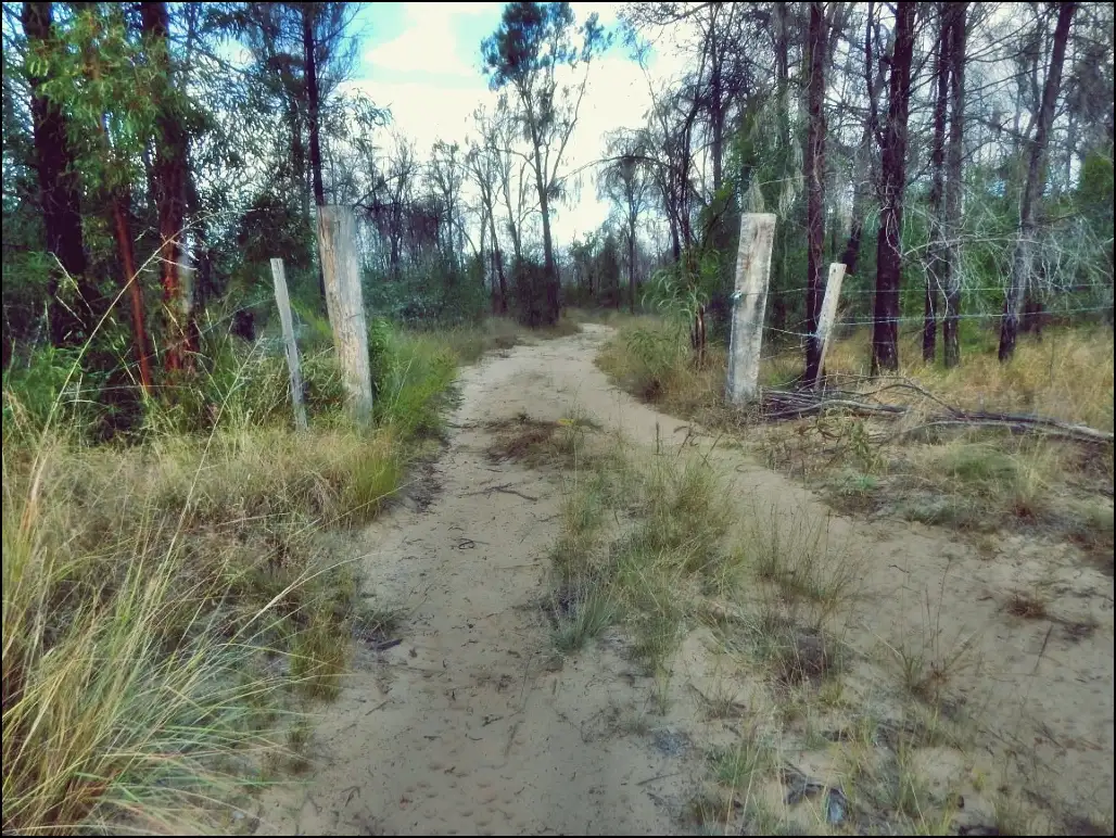 Main view of Homely rural property listing, LOT 99, 22 Violet Road, Millmerran Downs QLD 4357