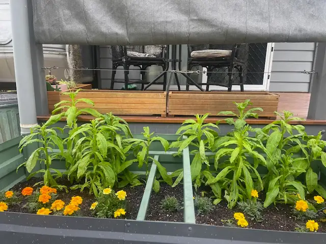 Main view of Homely villa listing, 53/1513 Old Bruce Hwy, Kybong QLD 4570