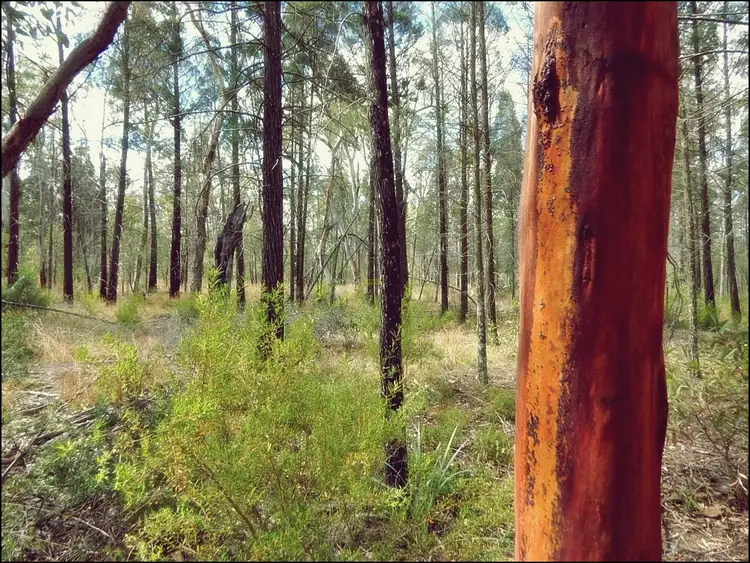 Sixth view of Homely rural property listing, Address available on request