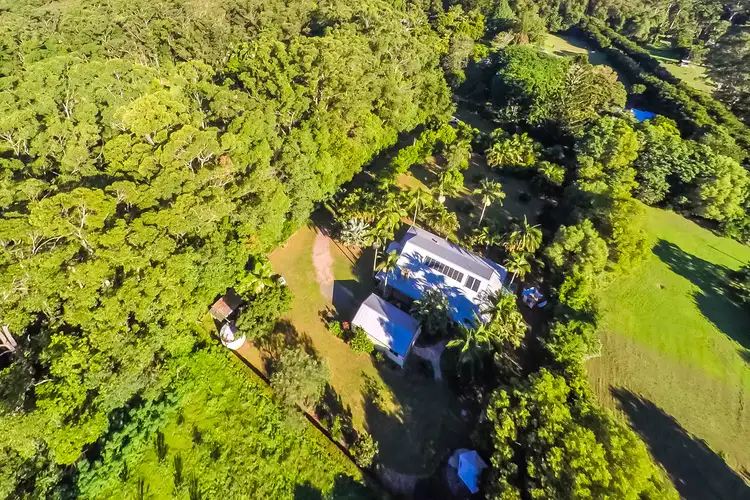 Second view of Homely house listing, 39 Bamboo Road, Palmwoods QLD 4555