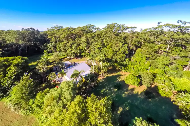 Third view of Homely house listing, 39 Bamboo Road, Palmwoods QLD 4555