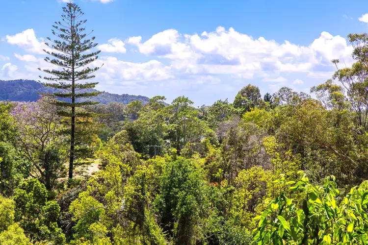 Sixth view of Homely rural property listing, 90-110 Woombye Palmwoods Road, Woombye QLD 4559