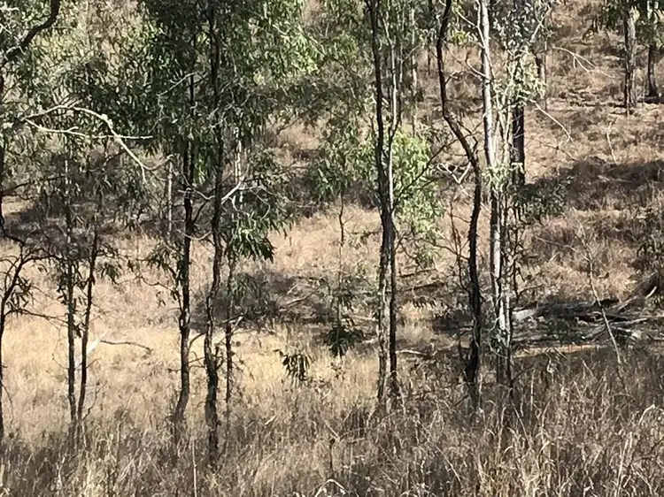 Third view of Homely land listing, Lot 3 Runnymede Estate Rd, Nanango QLD 4615
