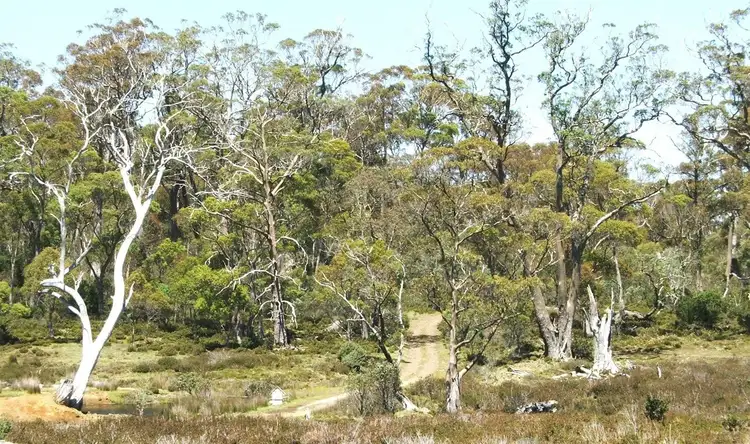 Fifth view of Homely land listing, 3759 Cradle Mountain Road, Cradle Mountain TAS 7306