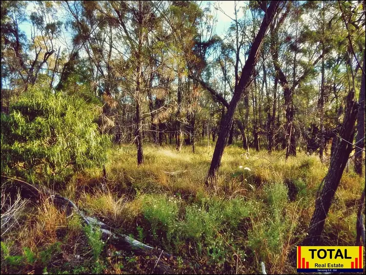 LOT 6, Lot 6 Pine Ridge Road, Condamine Farms QLD 4357