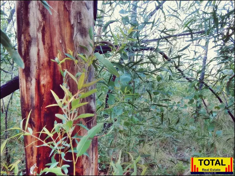 Lot 9 Basil Drive, Forest Ridge QLD 4357