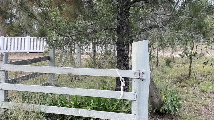 Main view of Homely land listing, LOT 9, 9 Embrey Road, South Nanango QLD 4615