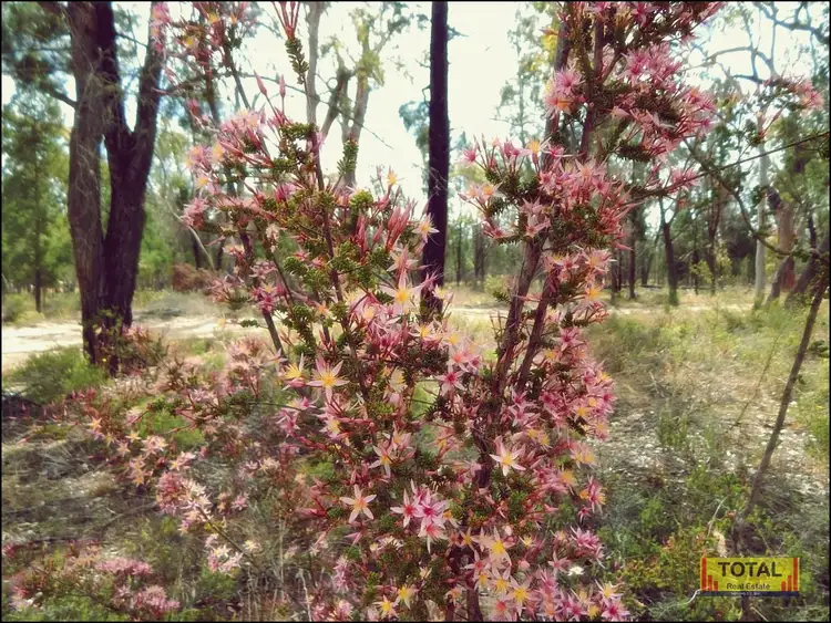 Second view of Homely rural property listing, Address available on request