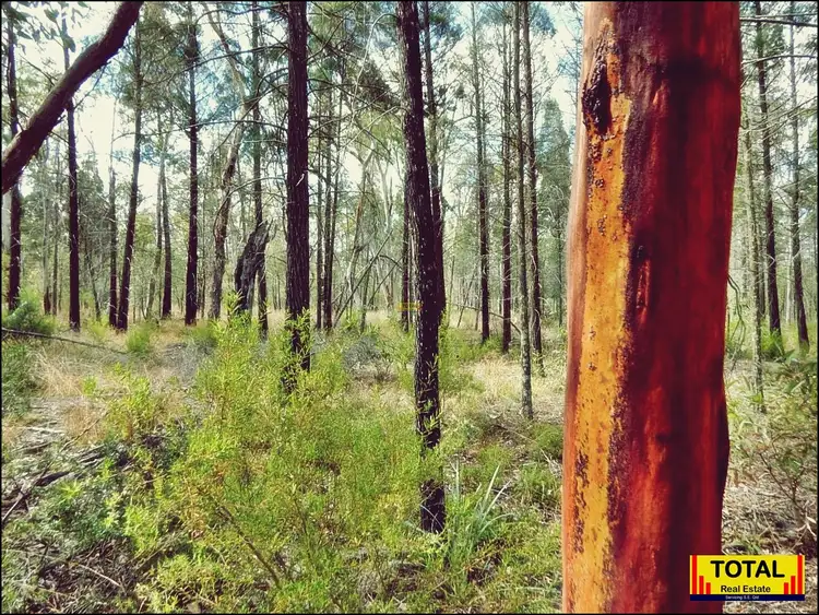 Third view of Homely rural property listing, Address available on request