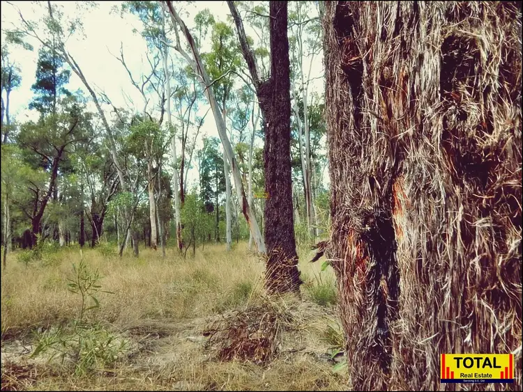 Fourth view of Homely rural property listing, Address available on request