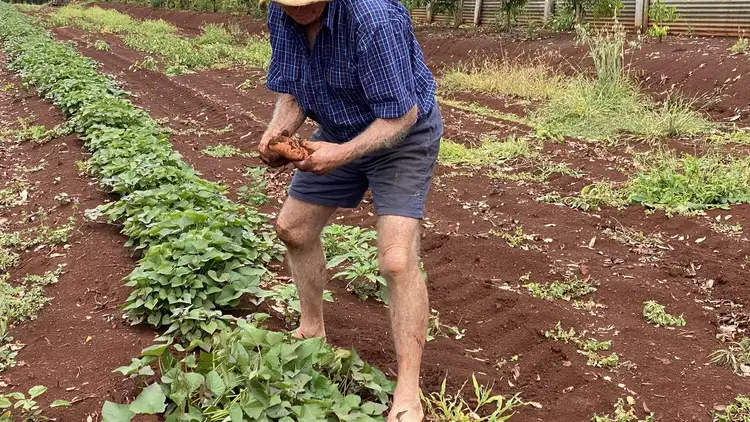 Fourth view of Homely rural property listing, 1365 New England Highway, Upper Yarraman QLD 4614