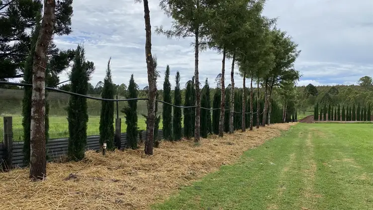 Seventh view of Homely rural property listing, 1365 New England Highway, Upper Yarraman QLD 4614