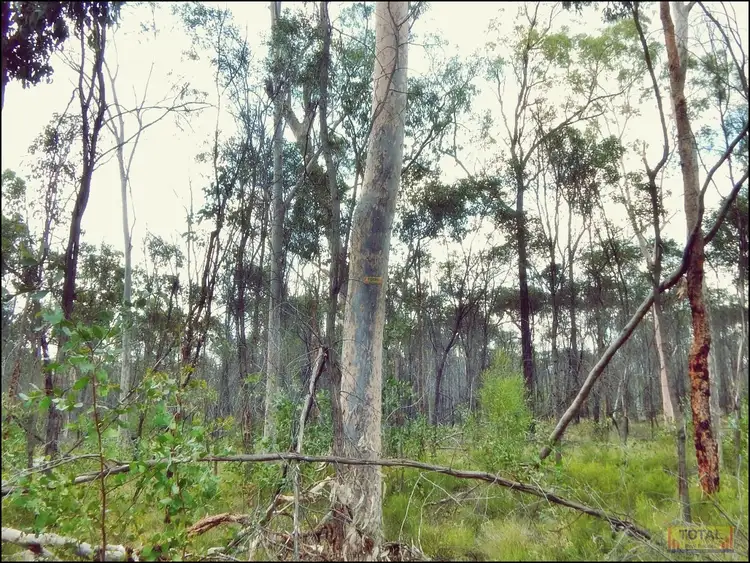 Fourth view of Homely rural property listing, Lot 30 Milky Way Road, Fairyland QLD 4413