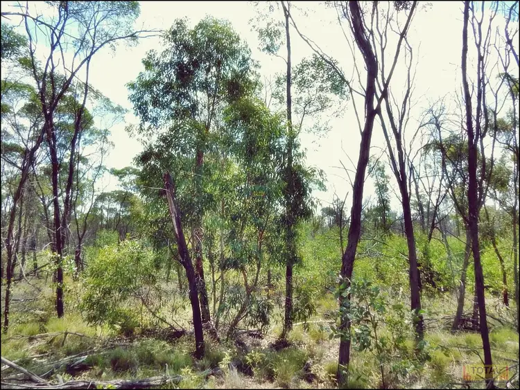 Sixth view of Homely rural property listing, Lot 30 Milky Way Road, Fairyland QLD 4413