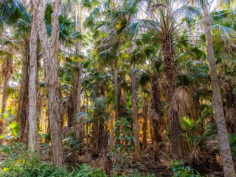 Seventh view of Homely land listing, 58 Doeblien Drive, South Stradbroke QLD 4216