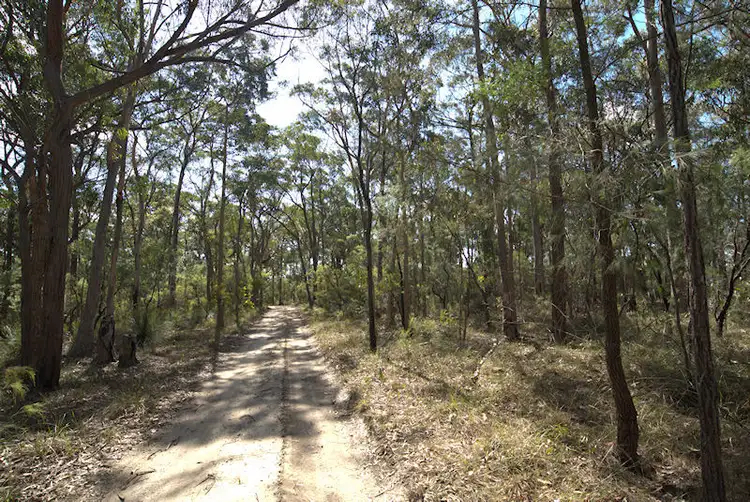 Fifth view of Homely land listing, Lot 137 Boree Valley Road, Laguna NSW 2325
