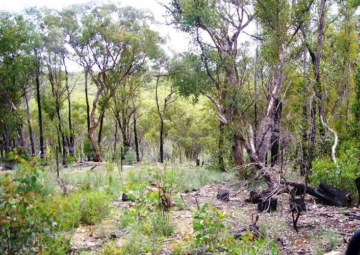 Main view of Homely land listing, 65 Rocklea Road, Invergowrie NSW 2350