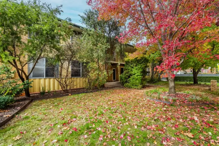 Second view of Homely unit listing, 11/86 Anzac Park, Campbell ACT 2612