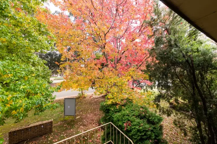 Seventh view of Homely unit listing, 11/86 Anzac Park, Campbell ACT 2612