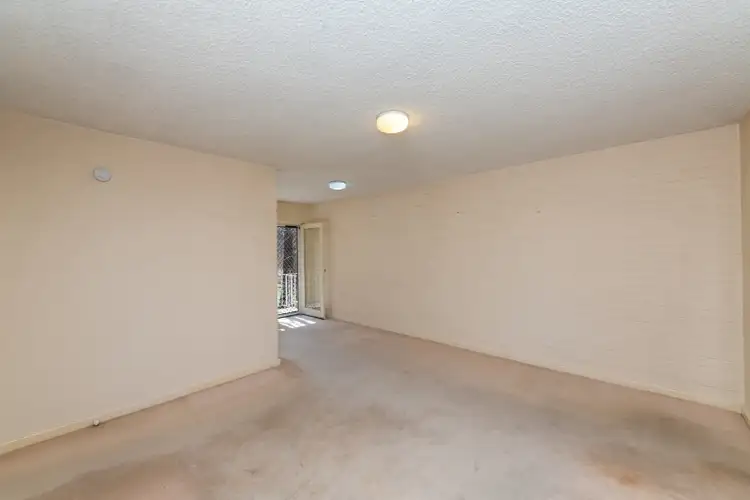 Third view of Homely apartment listing, 5/41 David Street, O'connor ACT 2602