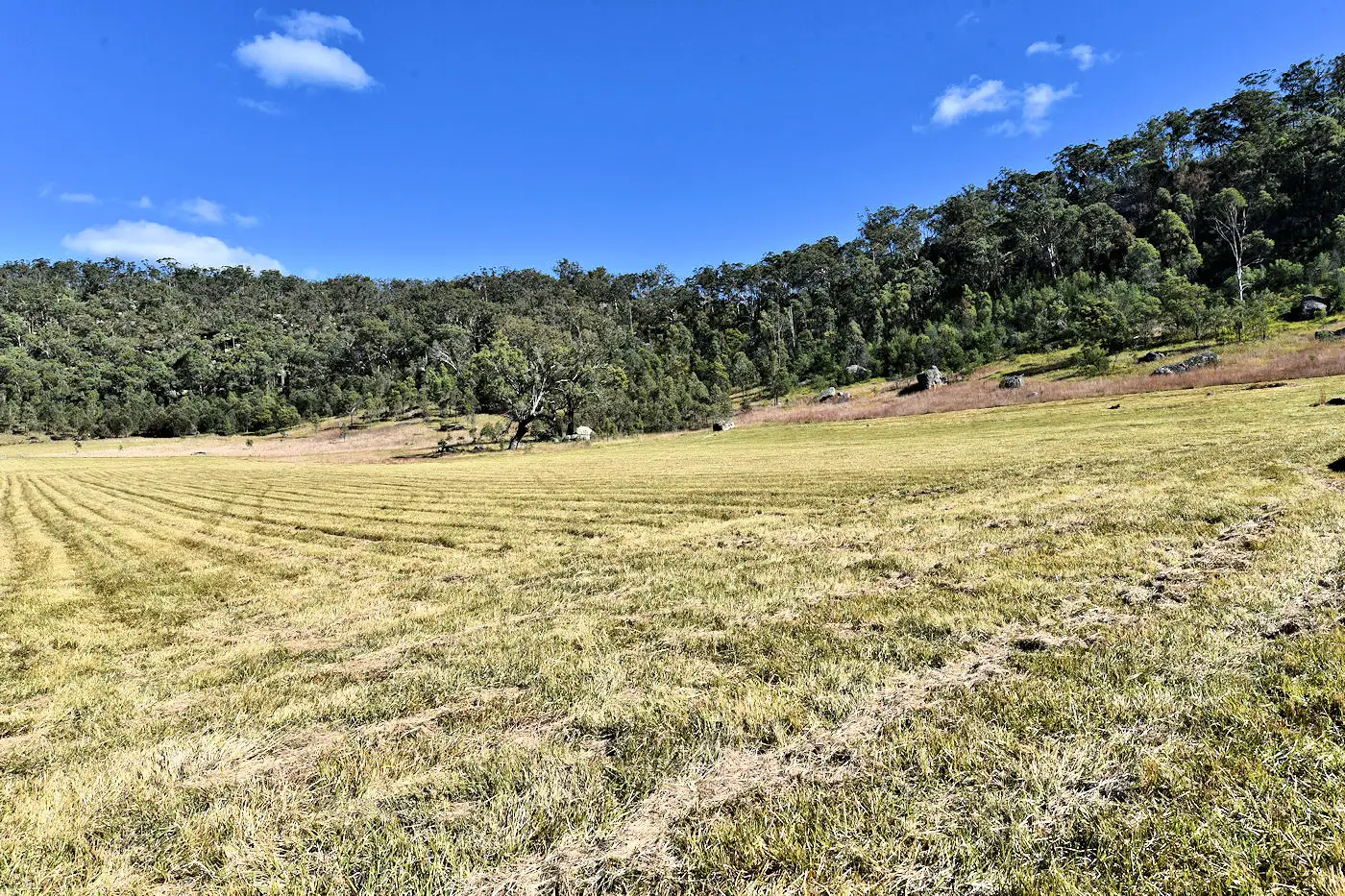 Main view of Homely rural property listing, 1880 Paynes Crossing Road, Paynes Crossing NSW 2325