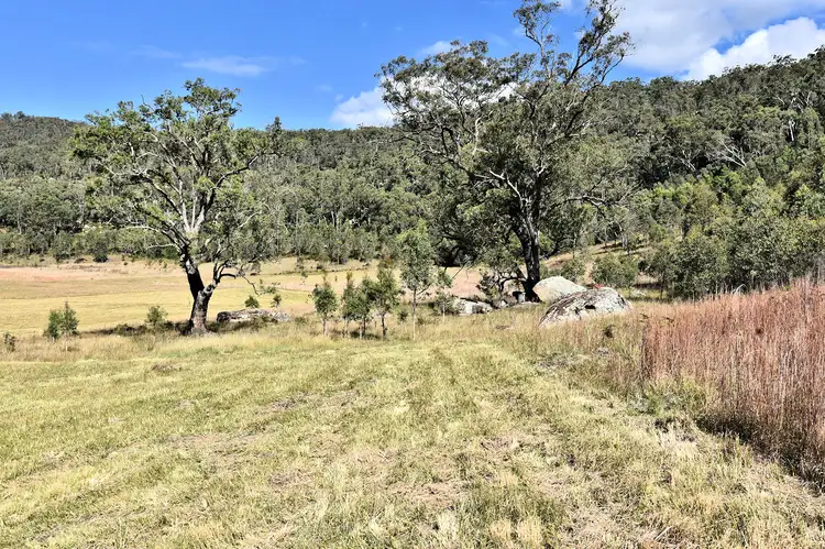 Third view of Homely rural property listing, 1880 Paynes Crossing Road, Paynes Crossing NSW 2325