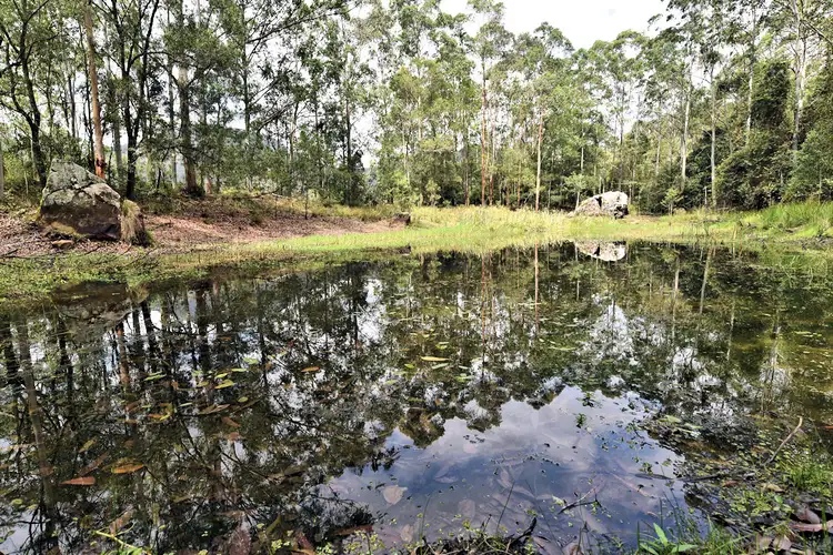 Fourth view of Homely rural property listing, 1670 Watagan Creek Road, Watagan NSW 2325