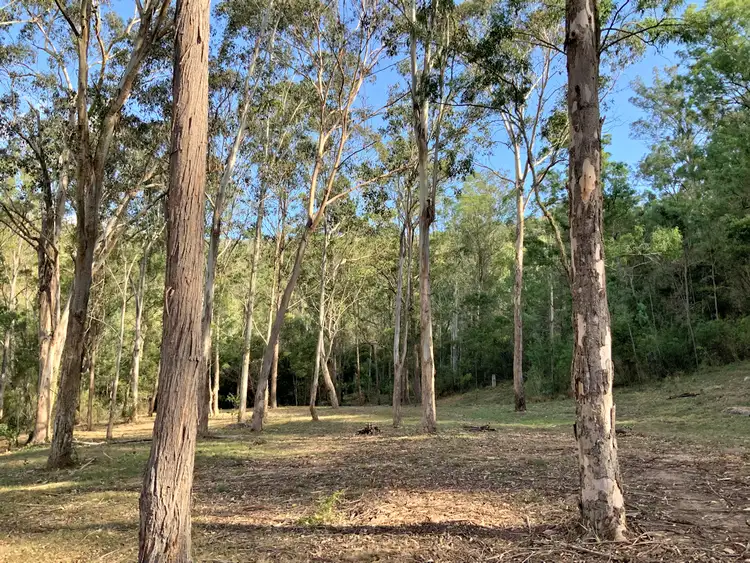 Second view of Homely land listing, 516 Tilley Lane, Watagan NSW 2325