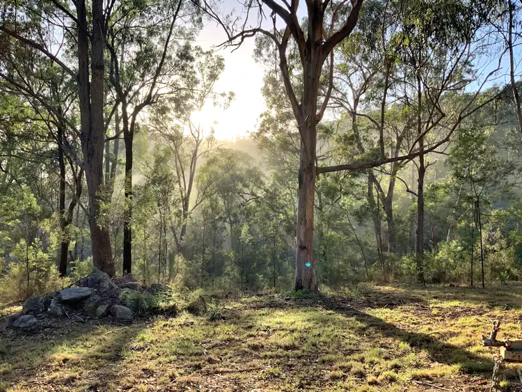 Third view of Homely land listing, 516 Tilley Lane, Watagan NSW 2325