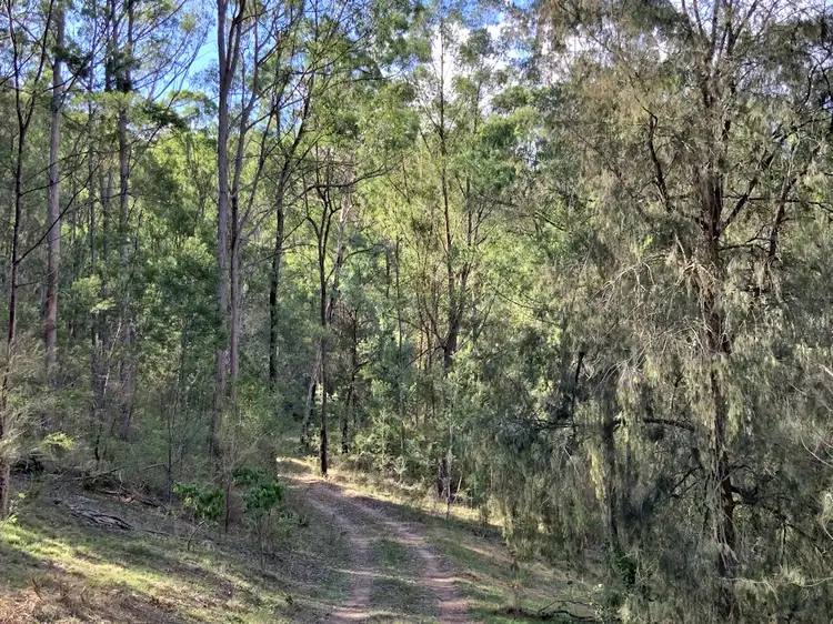 Fourth view of Homely land listing, 516 Tilley Lane, Watagan NSW 2325