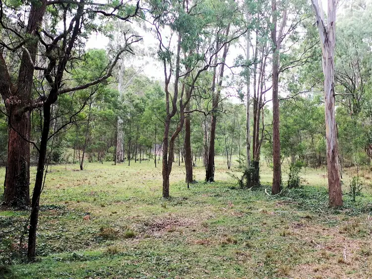 Fifth view of Homely land listing, 516 Tilley Lane, Watagan NSW 2325