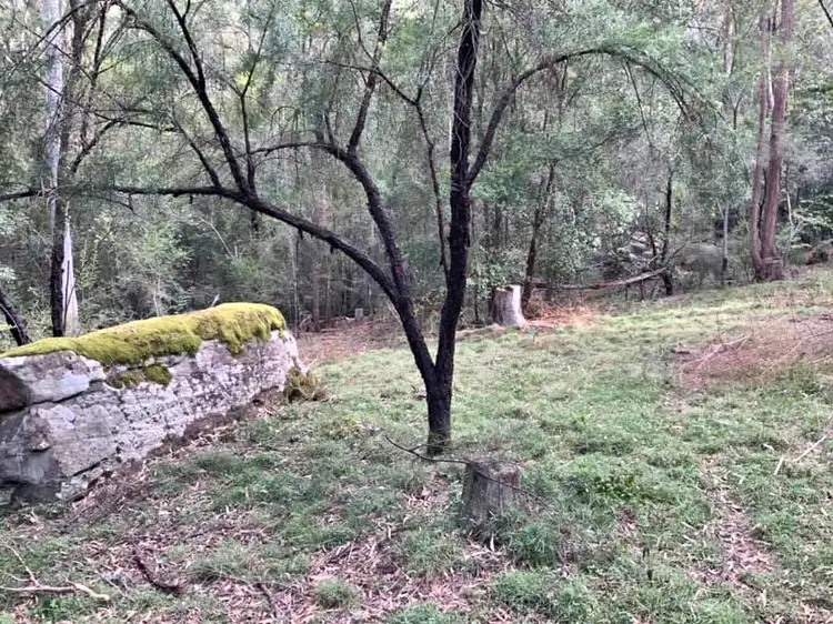 Sixth view of Homely land listing, 516 Tilley Lane, Watagan NSW 2325