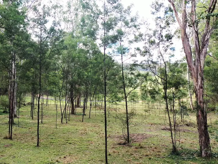 Seventh view of Homely land listing, 516 Tilley Lane, Watagan NSW 2325