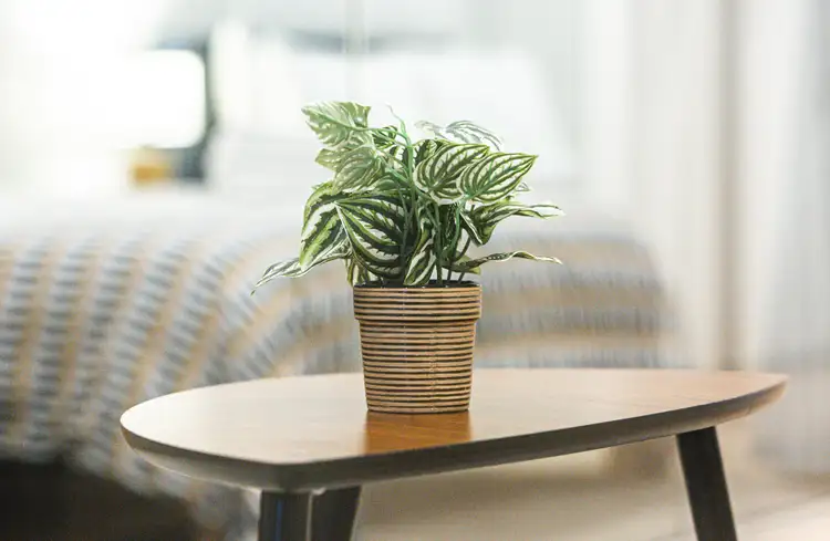 Sixth view of Homely apartment listing, 527/61 Cooyong Street, Braddon ACT 2612