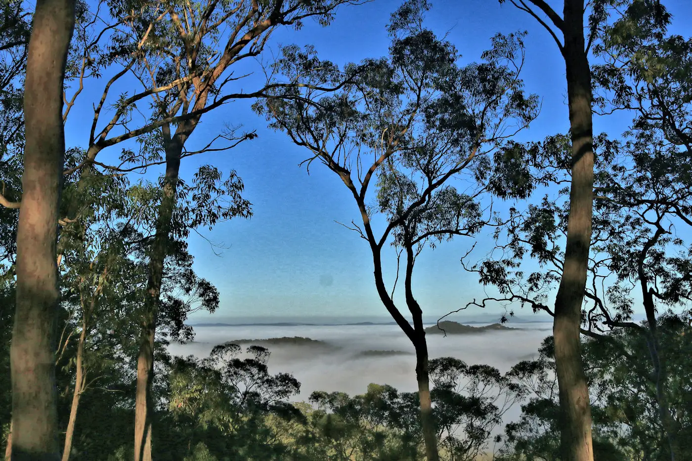 Main view of Homely rural property listing, Address available on request