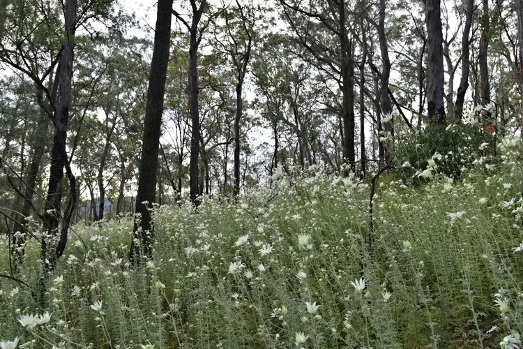 Fifth view of Homely rural property listing, Address available on request